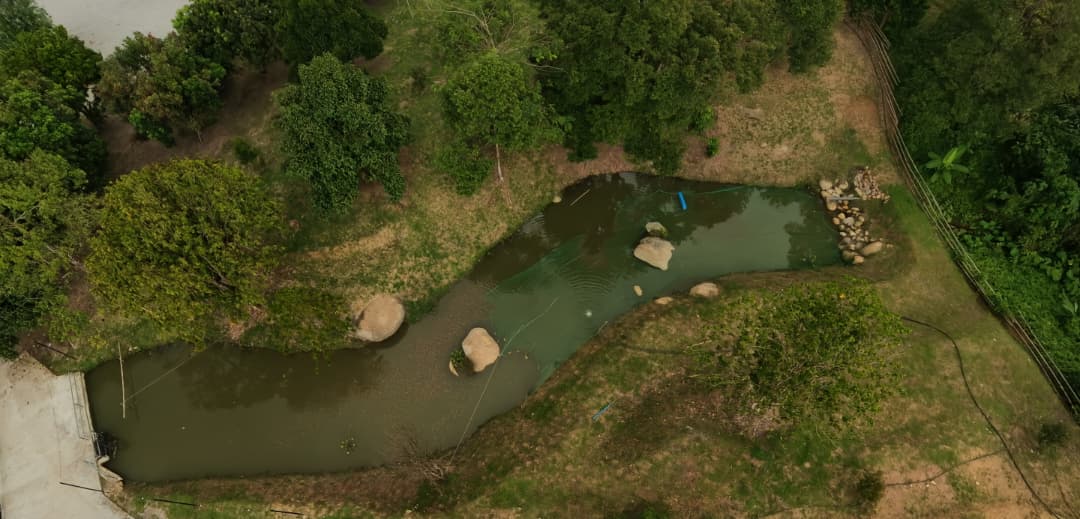 Aerial view of the fishing pond