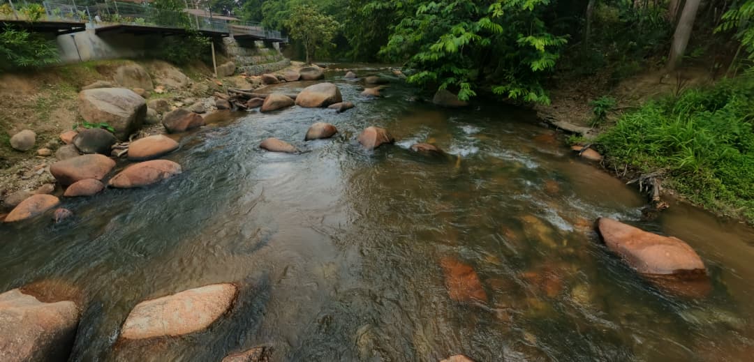 Shallow rapids over rocks in the river
