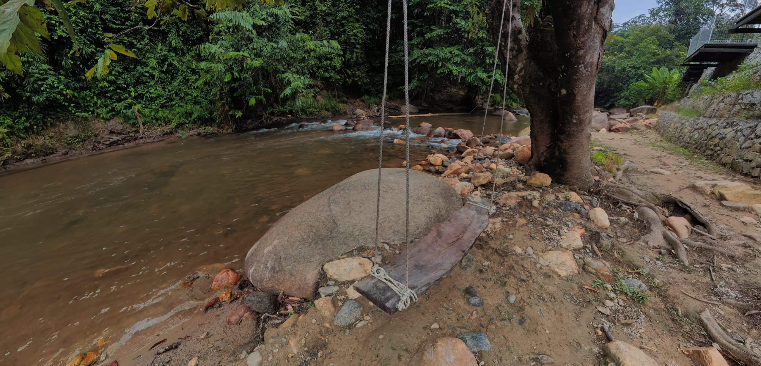 Wooden swing hanging by the river
